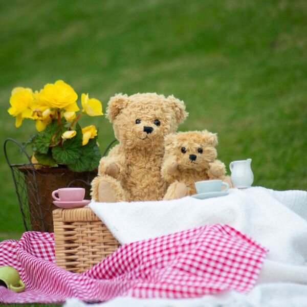 Classic jointed teddy bear Thumbnail